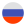 Russian