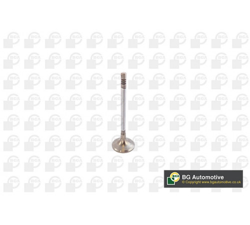 Впускний клапан V142049 BGA