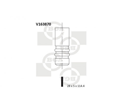 Впускний клапан V163870 BGA