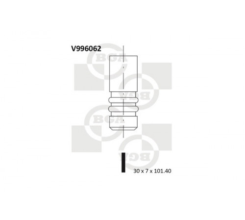 Випускний клапан V996062 BGA