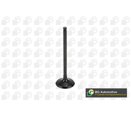 Впускний клапан V998745 BGA