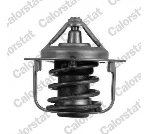 Термостат, охолоджувальна рідина TH5076.82J CALORSTAT BY VERNET