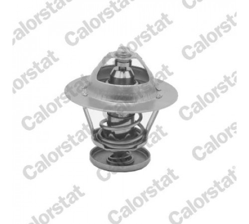Термостат, охолоджувальна рідина TH5077.92J CALORSTAT BY VERNET