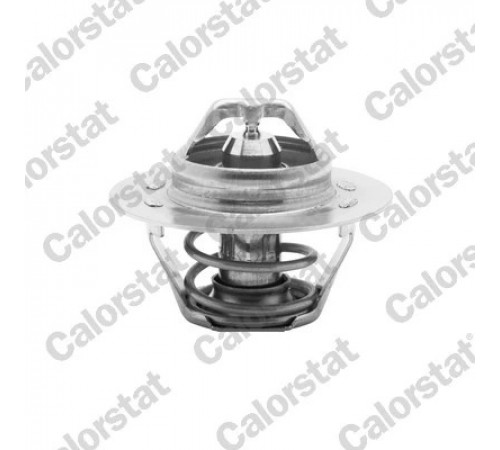 Термостат, охолоджувальна рідина TH5108.89J CALORSTAT BY VERNET