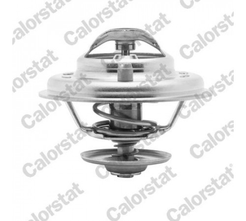 Термостат, охолоджувальна рідина TH5902.87J CALORSTAT BY VERNET