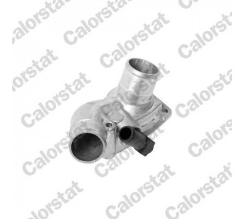 Термостат, охолоджувальна рідина TH6518.92J CALORSTAT BY VERNET