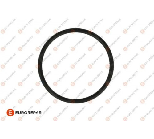 Насос охолоджувальної рідини, охолодження двигуна 1688989080 EUROREPAR