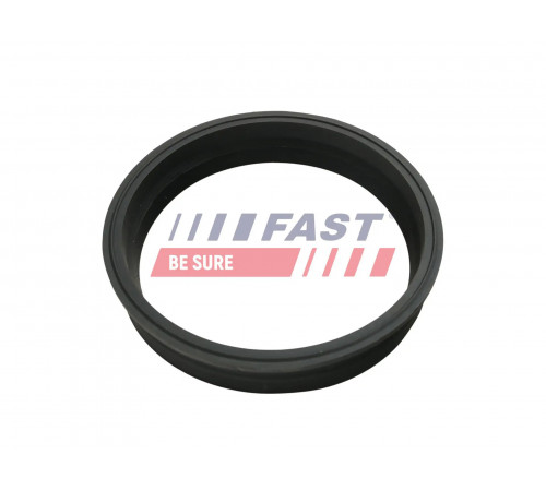 Ущільнення, датчик бака FT48501 FAST
