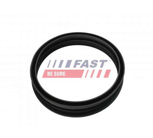 Ущільнення, датчик бака FT48501 FAST