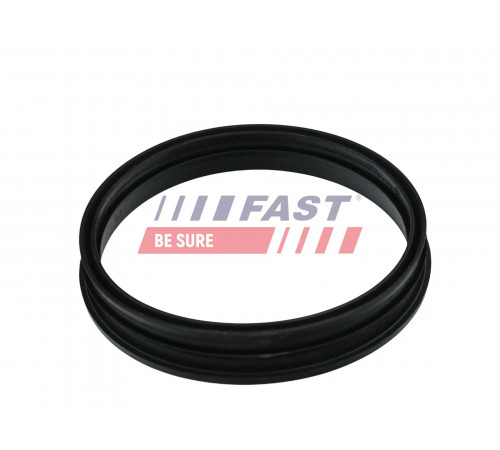 Ущільнення, датчик бака FT48505 FAST