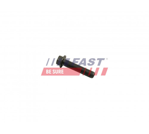 Гвинт шатуна FT51651 FAST