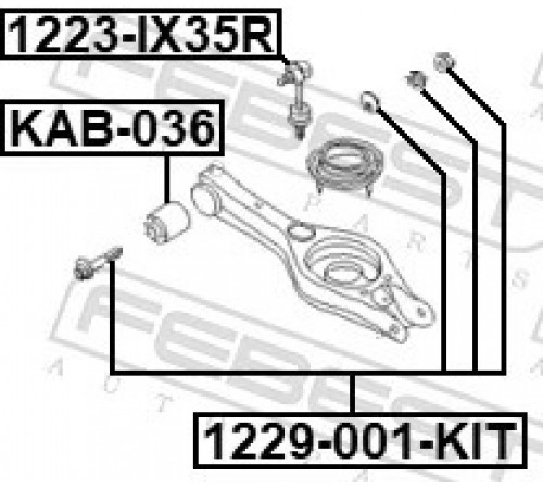Комплект гвинтів для коригування розвалу 1229-001-KIT FEBEST