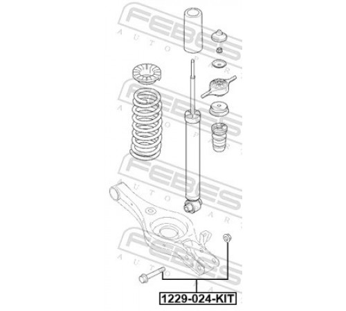 Комплект гвинтів для коригування розвалу 1229-024-KIT FEBEST