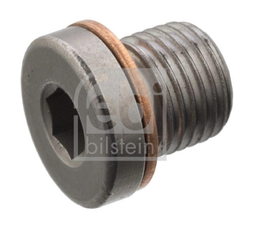 Пробка, осьова передача 101020 FEBI BILSTEIN