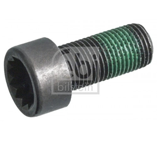 Гвинт маховика 179619 FEBI BILSTEIN