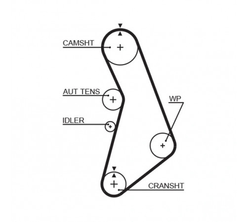 Зубчастий ремінь 5491XS GATES