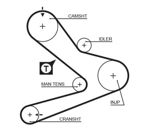 Зубчастий ремінь 5495XS GATES