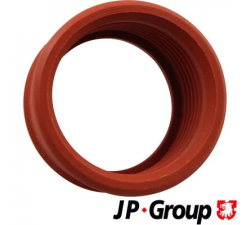 Шланг подачі наддувального повітря 6017700100 JP GROUP