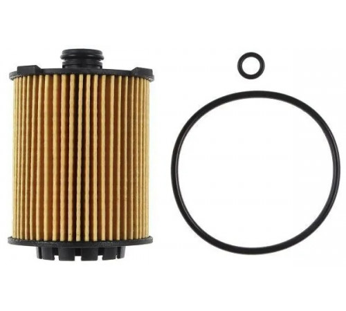 Оливний фільтр OX 1075D MAHLE